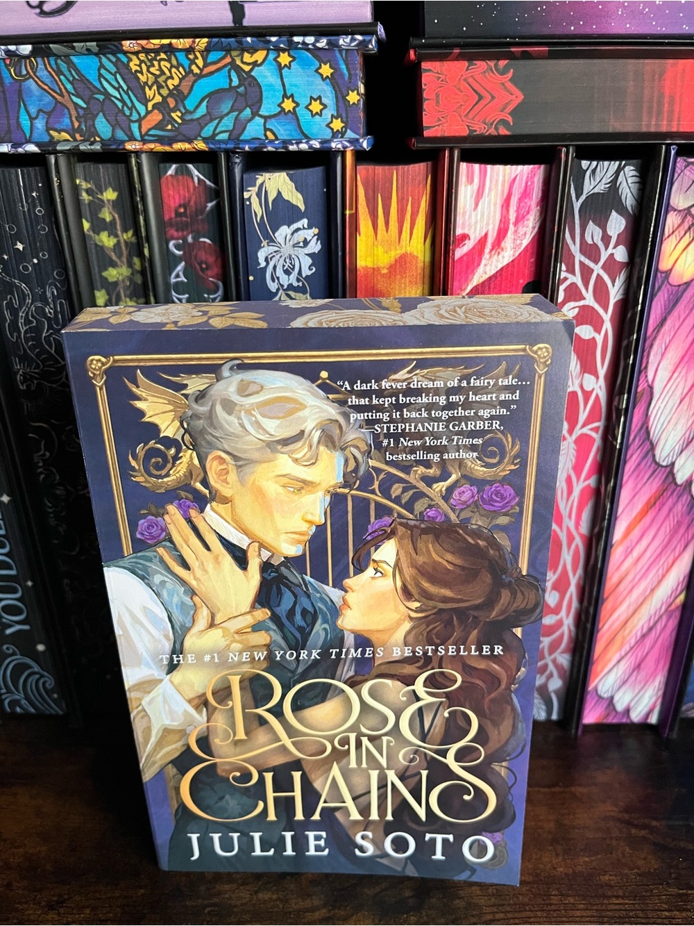 Rose in Chains Deluxe Paperback Book by Julie Soto New